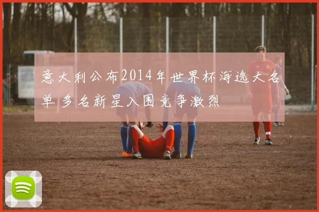 意大利公布2014年世界杯海选大名单 多名新星入围竞争激烈