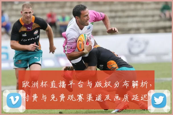 欧洲杯直播平台与版权分布解析，付费与免费观赛渠道及画质延迟对比