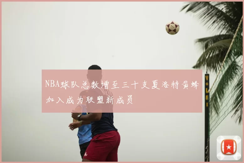 NBA球队总数增至三十支夏洛特黄蜂加入成为联盟新成员
