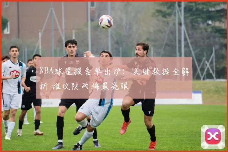 NBA球星报告单出炉:关键数据全解析 谁攻防两端最亮眼