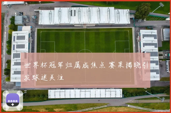 世界杯冠军归属成焦点 赛果揭晓引发球迷关注
