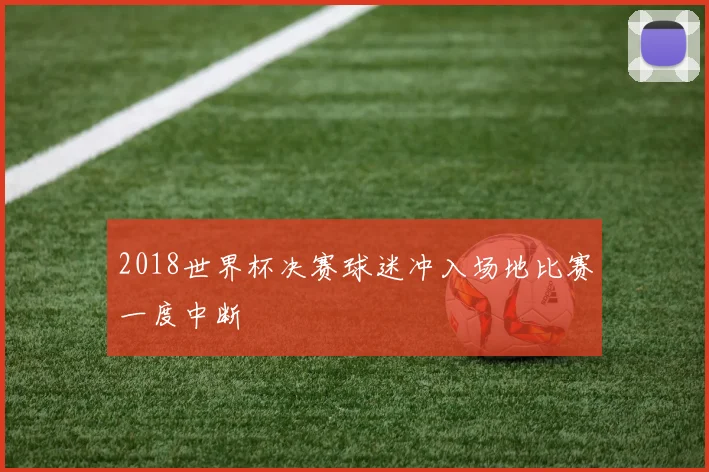 2018世界杯决赛球迷冲入场地比赛一度中断