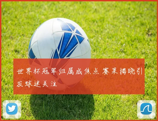 世界杯冠军归属成焦点 赛果揭晓引发球迷关注